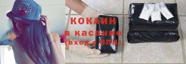 шишки Бронницы