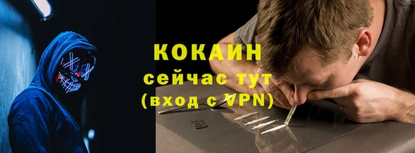 шишки Бронницы