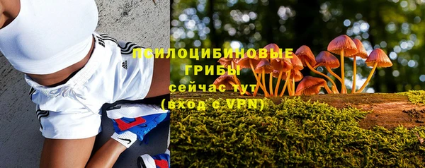спиды Бугульма
