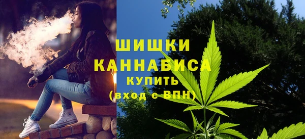 круглые Бородино