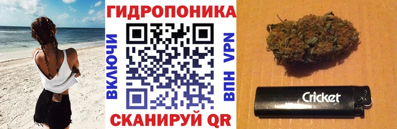 Бошки Шишки ГИДРОПОН  Соль-Илецк 